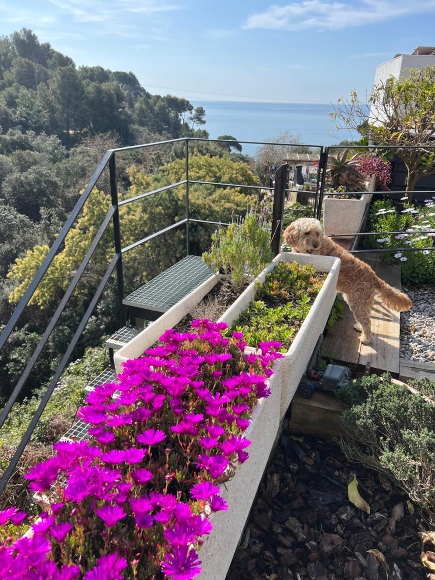 Apartamento Casa KARIAN Tossa de Mar Exterior foto